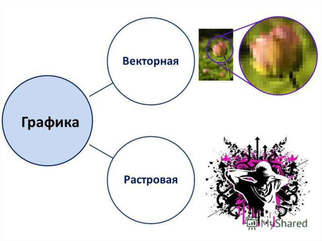 Какие изображения называют векторными