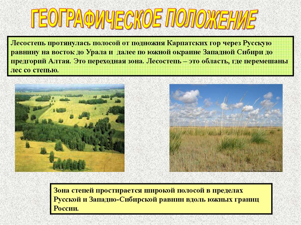 Географическое положение степей и лесостепей россии