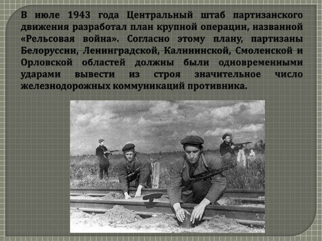 В июле 1943 года Центральный штаб партизанского движения разработал план крупной операции, названной «Рельсовая война».