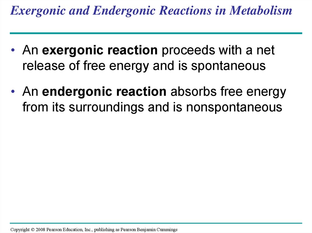 Exergonic and Endergonic Reactions in Metabolism