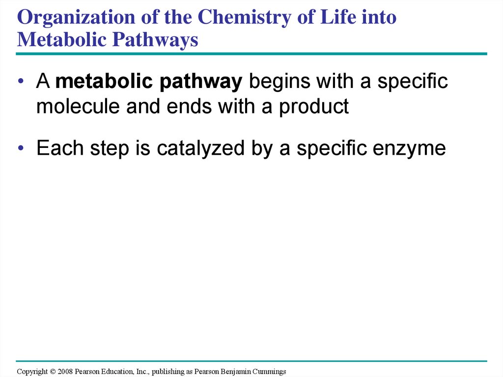 Organization of the Chemistry of Life into Metabolic Pathways