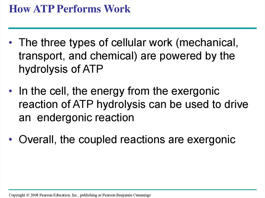 How ATP Performs Work