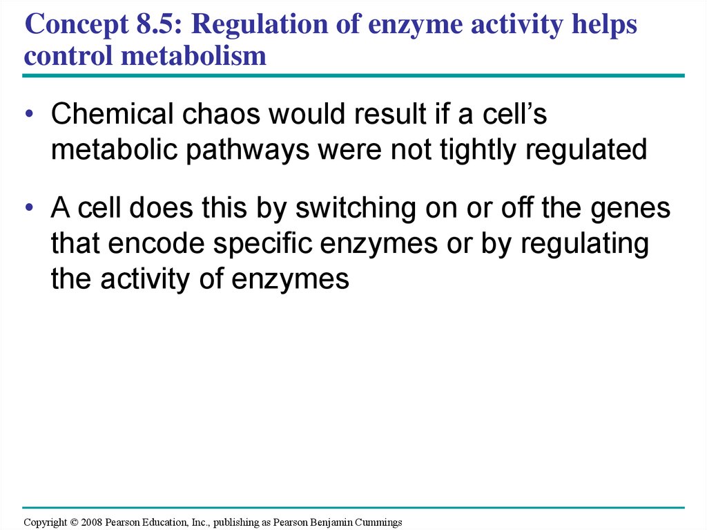 Concept 8.5: Regulation of enzyme activity helps control metabolism