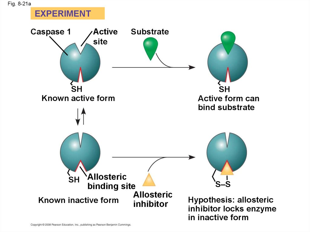 An Introduction To Metabolism Online Presentation An Introduction To Metabolism Online Presentation