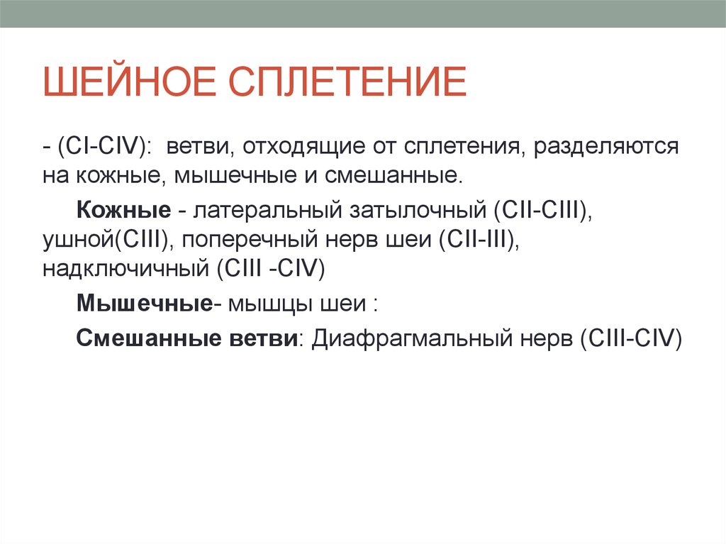 смешанные ветви. шейное сплетение двигательные ветви анатомия. области иннервации нервов шейного сплетения. подзатылочный нерв иннервация. ветви шейного сплетения анатомия.