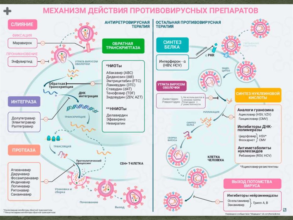 Противовирусные препараты презентация