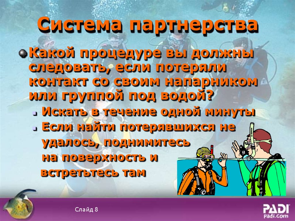 Система партнерства