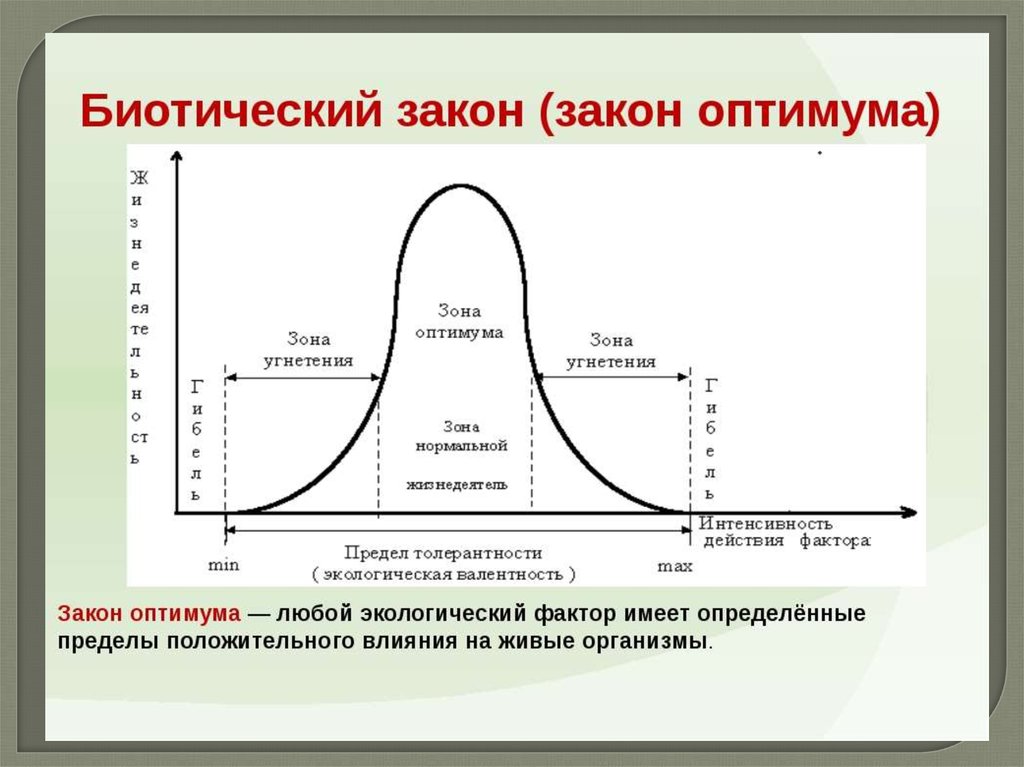 Закон оптимума это