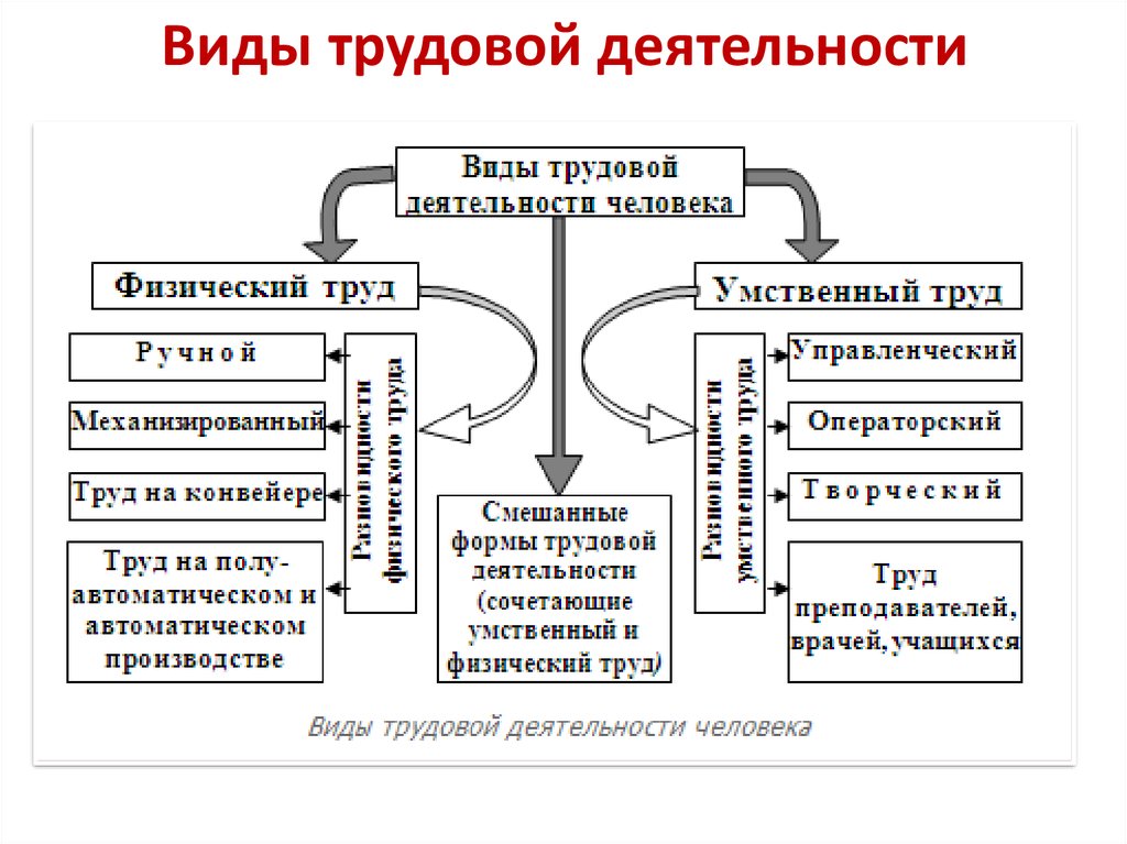 Рациональный вид деятельности. Схема виды трудовой деятельности. Классификация труда и видов трудовой деятельности. Виды трудовой деятельности человека схема. Классификация основных форм трудовой деятельности.