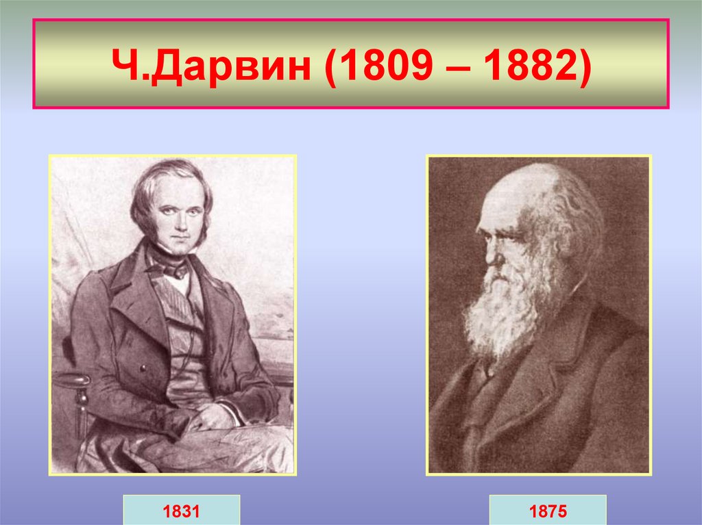 Ч.Дарвин (1809 – 1882)