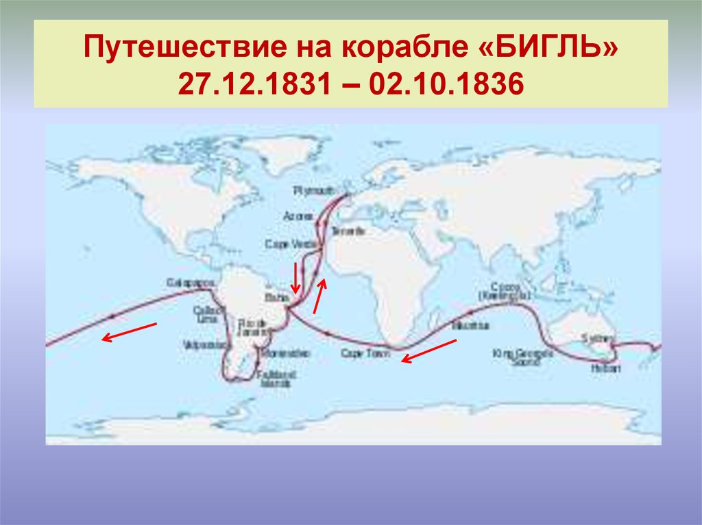 Путешествие дарвина на корабле бигль презентация