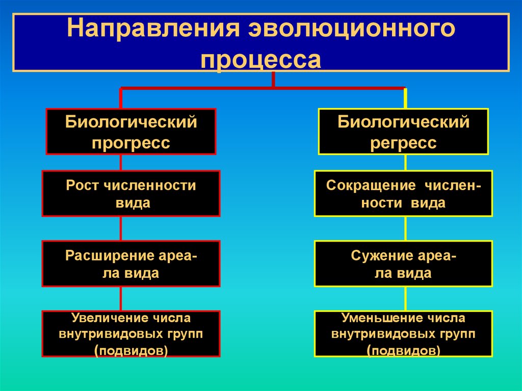 Направления процессов в природе. Эволюционные процессы. Основные направления и пути эволюционного процесса.