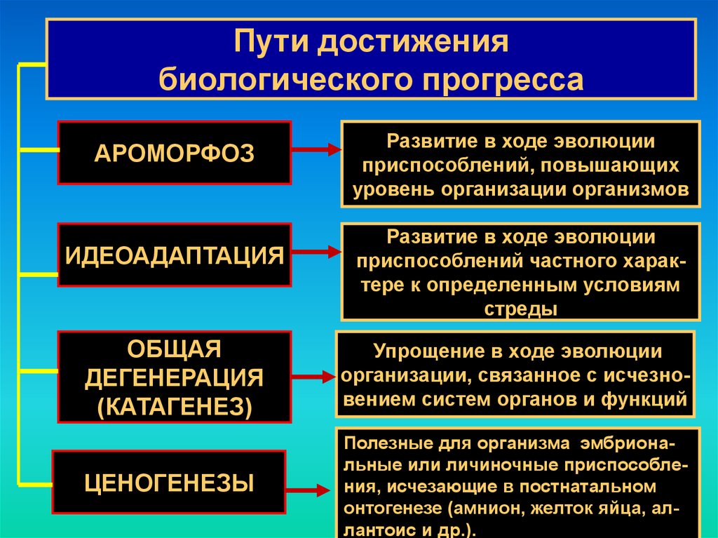 Биологический прогресс достигается