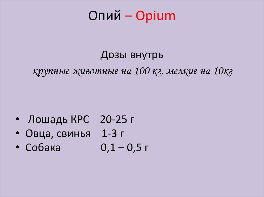 Опий – Opium