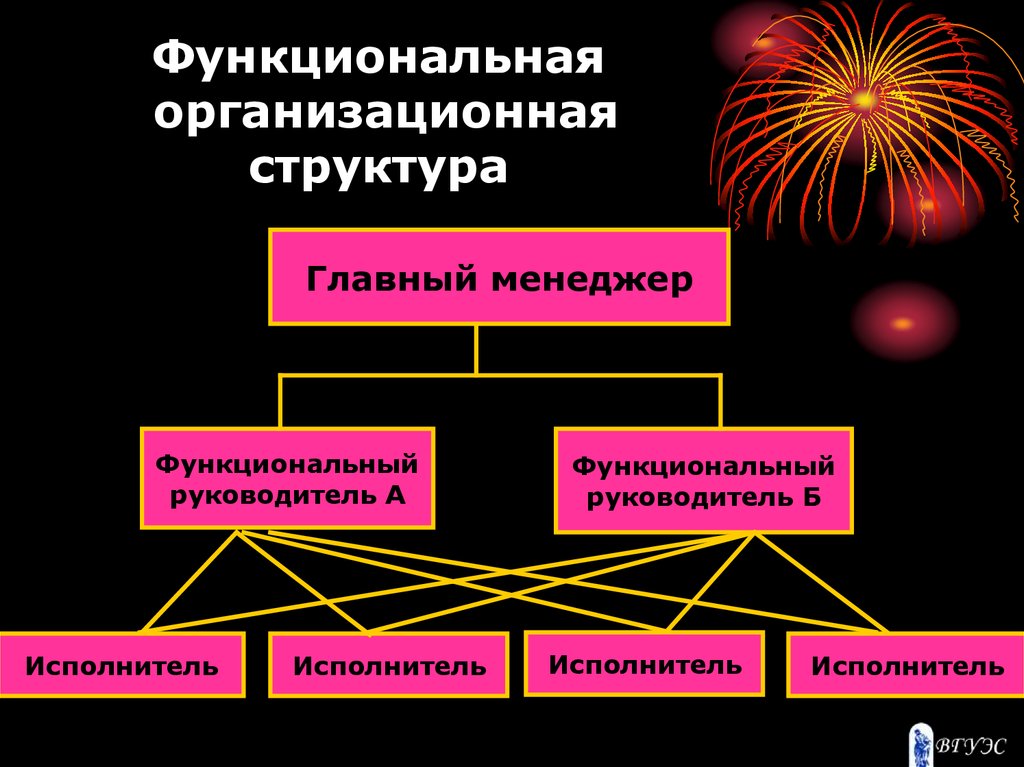 6 организации. Функциональный руководитель это. Функциональная организационная структура руководитель. Руководители функциональные схема. Функциональная организационная структура управления в туризме.