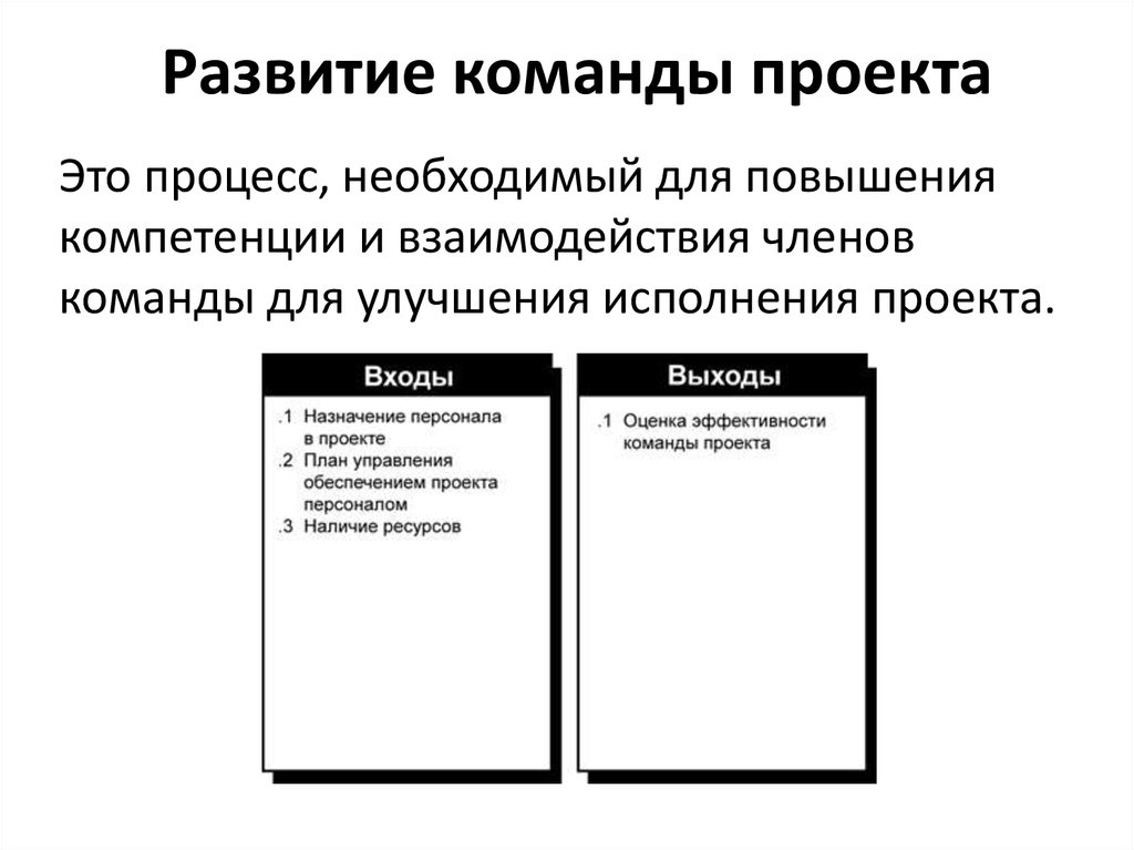 Основные характеристики команды проекта