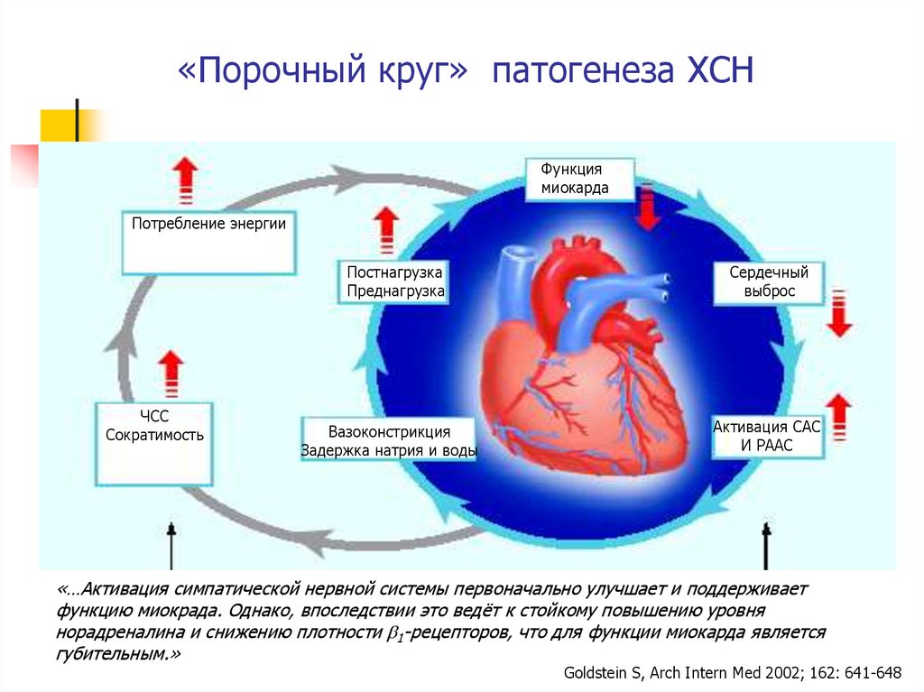 Сердечная недостаточность схема. Хроническая сердечная недостаточность механизм развития. Схема порочного круга сердечной недостаточности. Хронический сердечный недостаточность патогенез. Сердечная недостаточность механизмы развития.