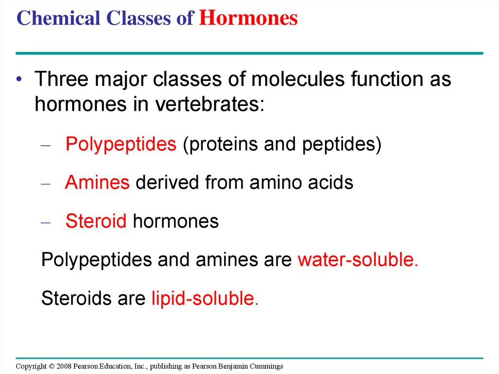 Cats, Dogs and steroids for muscle growth