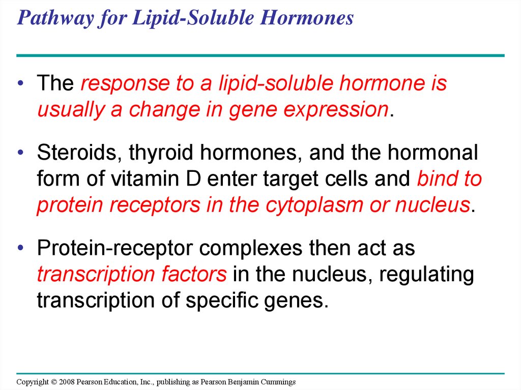 Pathway for Lipid-Soluble Hormones
