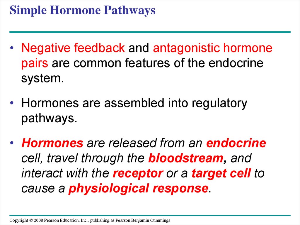 Simple Hormone Pathways