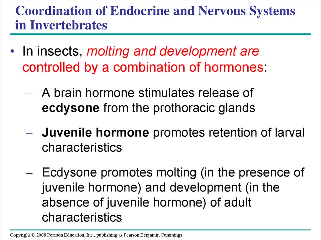 Coordination of Endocrine and Nervous Systems in Invertebrates