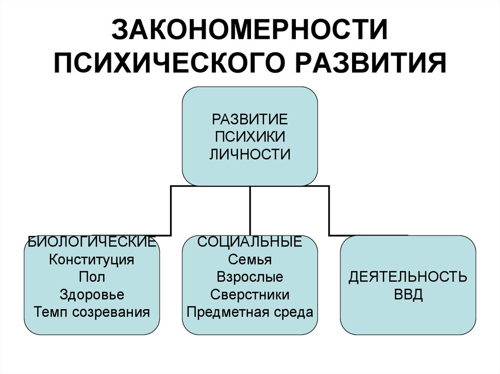 Закономерности развития личности. Закономерности психического развития личности. Закономерности развития психики. Закономерности психического развития ребенка. Психическое развитие закономерности психического развития.