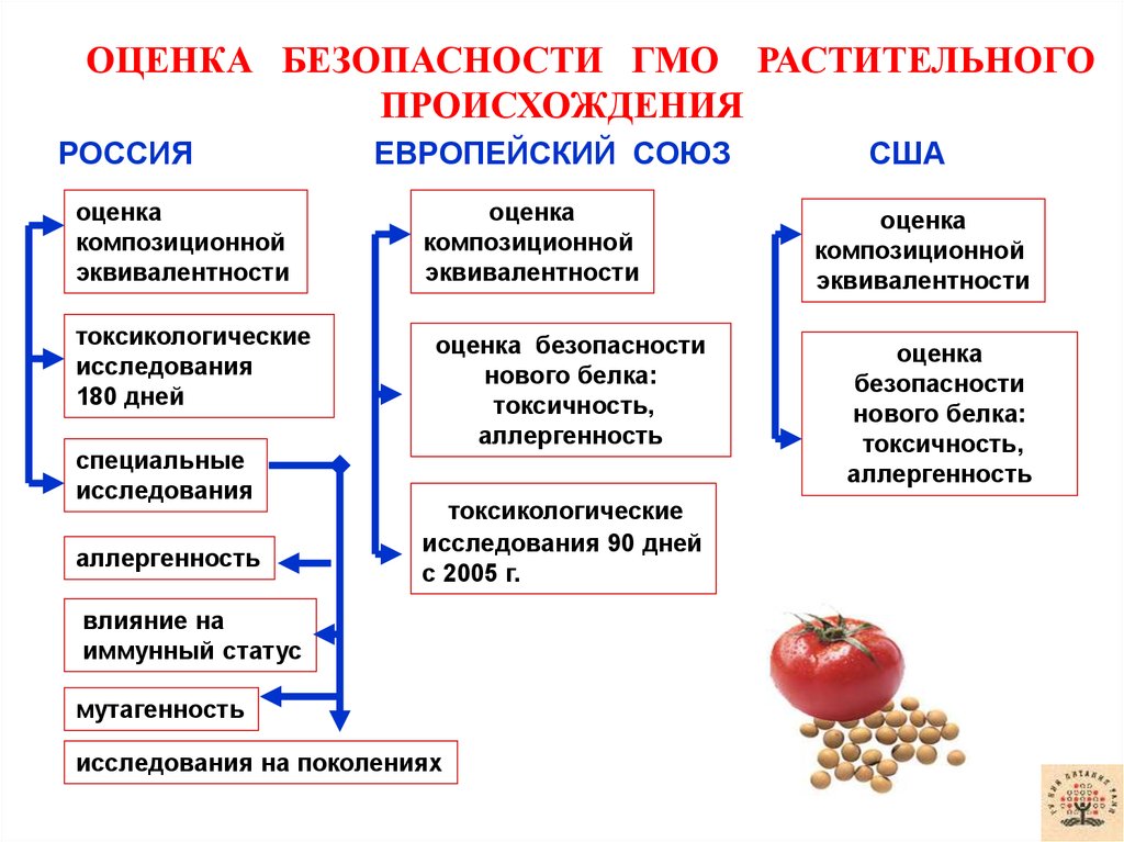 Цель гмо. Генетическая модификация схема. Оценка безопасности генетически модифицированных продуктов. Процедура оценки безопасности ГМО пищевых продуктов.. ГМО растительного происхождения.