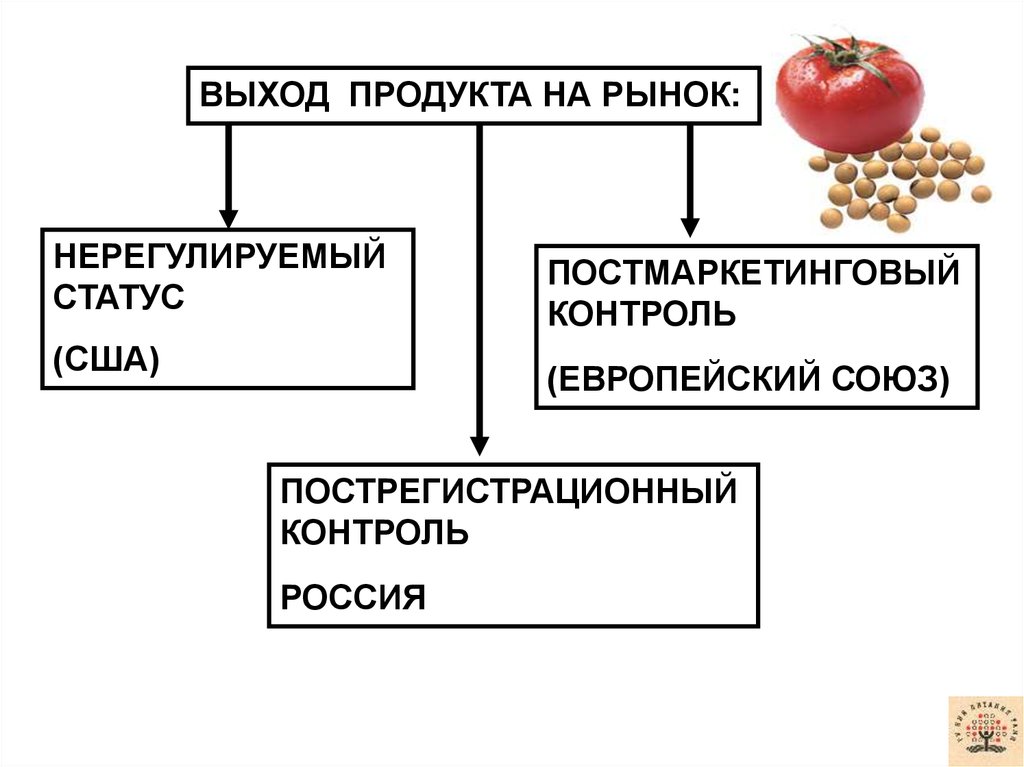 Выходы предприятия на международные рынки