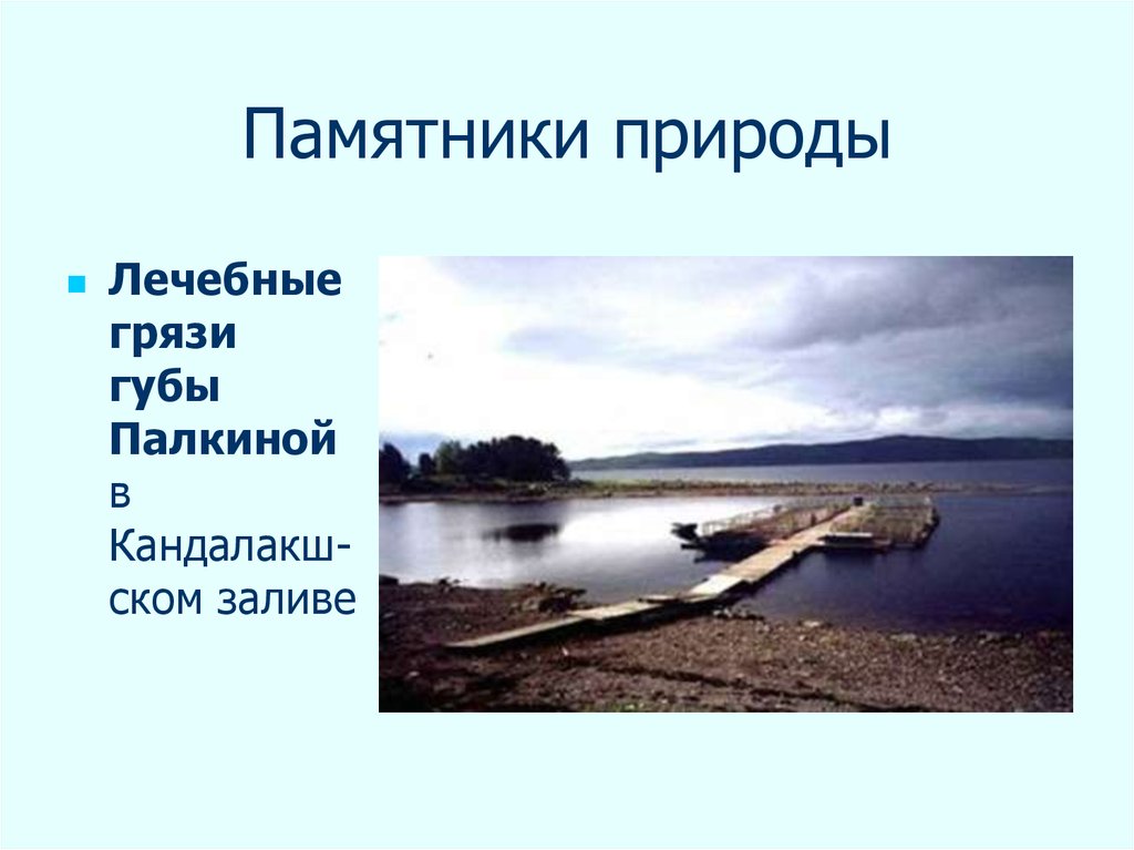 Памятники природы 3 класс. Памятники природы Мурманской области. Природа Мурманской области презентация. Палкина губа памятник природы. Памятники природы Мурманской области презентация.