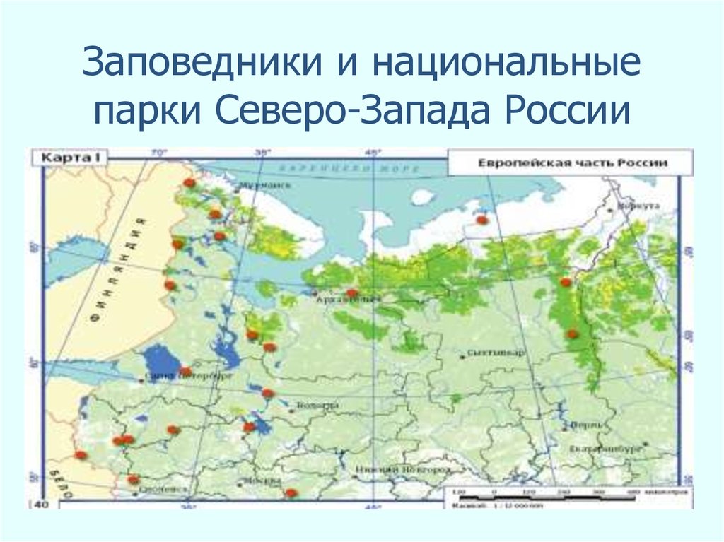 Заповедники и национальные парки Северо-Запада России