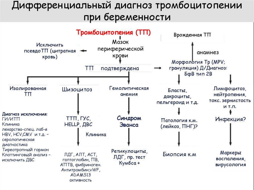 Диагноз тромбоцитопения