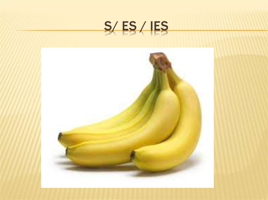 s/ es / ies