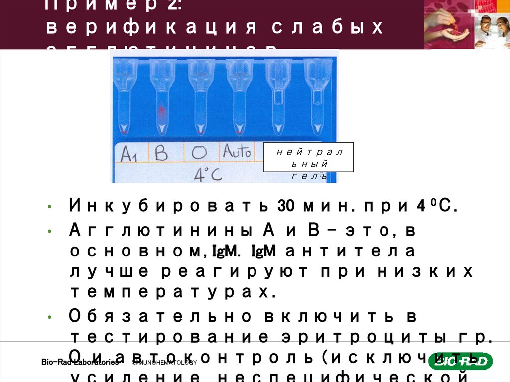 Пример 2: верификация слабых агглютининов