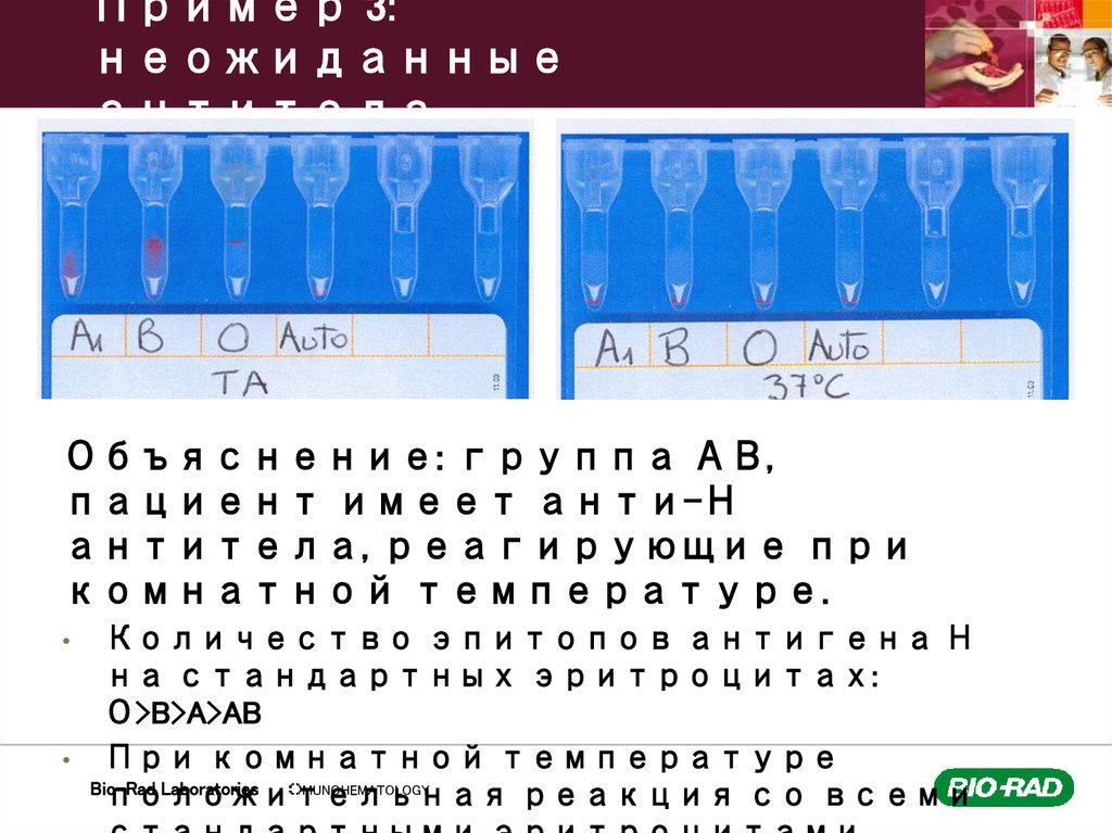 Пример 3: неожиданные антитела