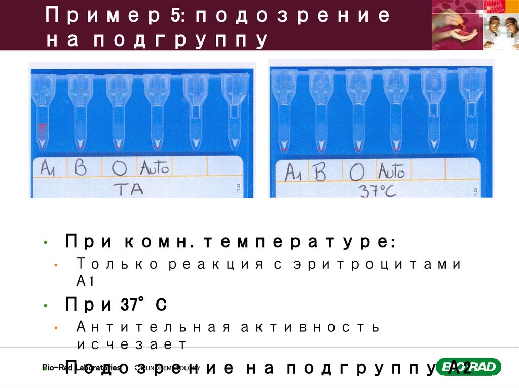 Пример 5: подозрение на подгруппу