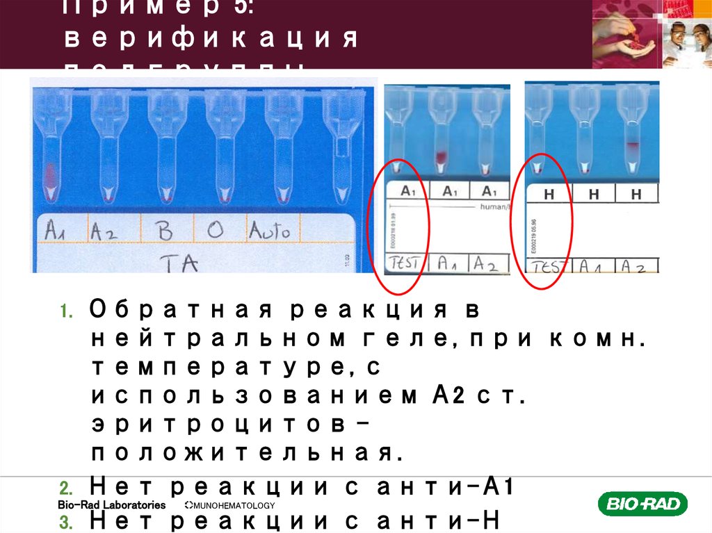 Пример 5: верификация подгруппы