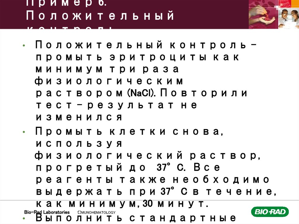 Пример 6. Положительный контроль