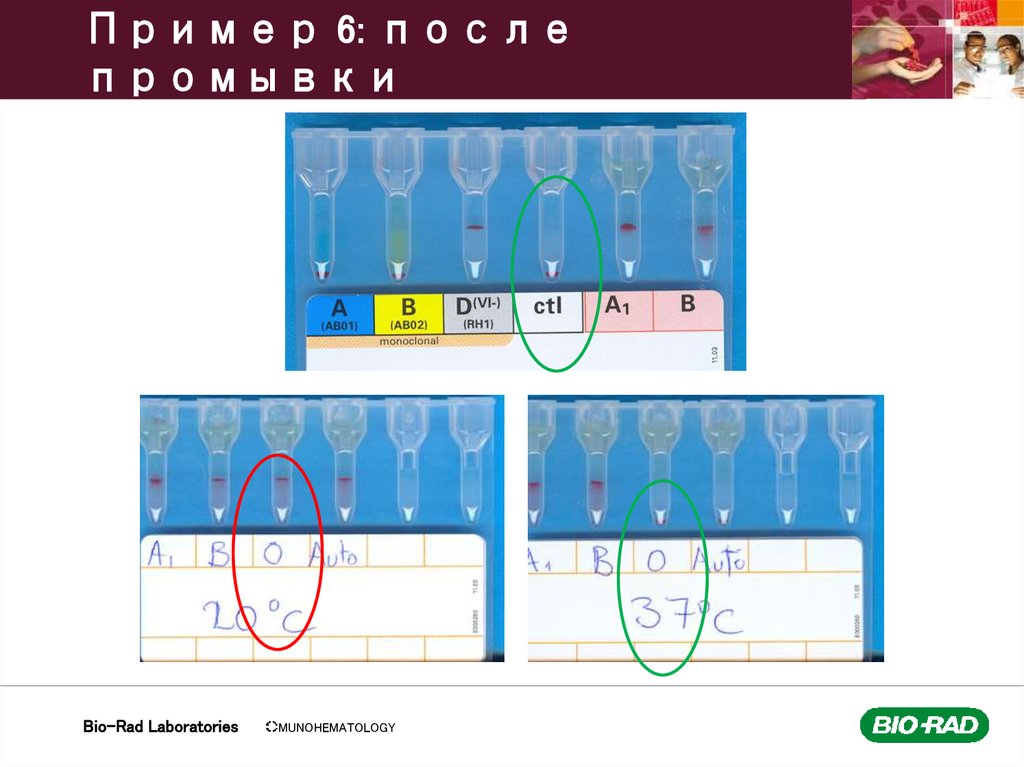 Пример 6: после промывки