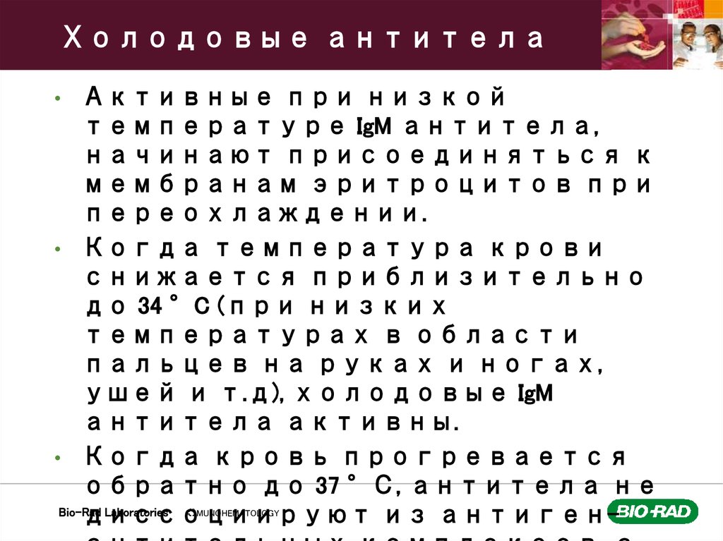 Холодовые антитела