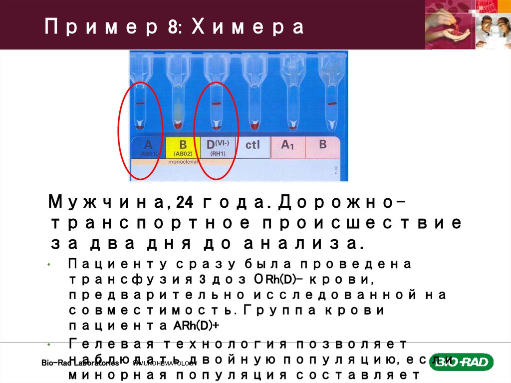 Пример 8: Химера
