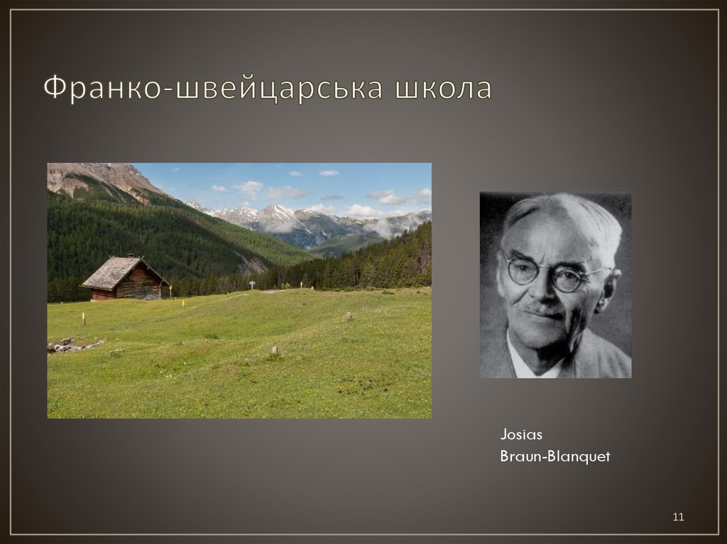 Франко-швейцарська школа