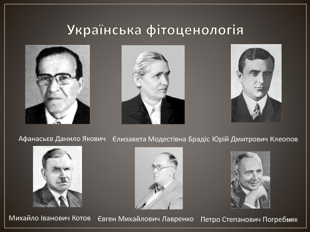 Українська фітоценологія