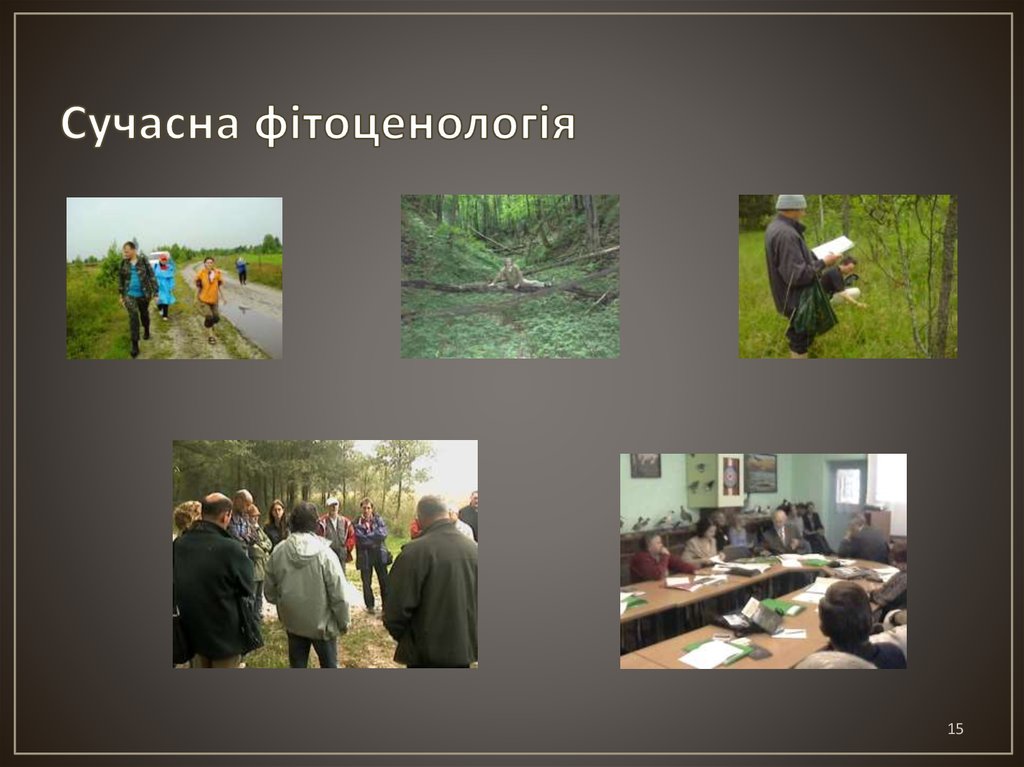 Сучасна фітоценологія