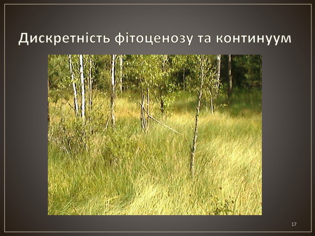 Дискретність фітоценозу та континуум