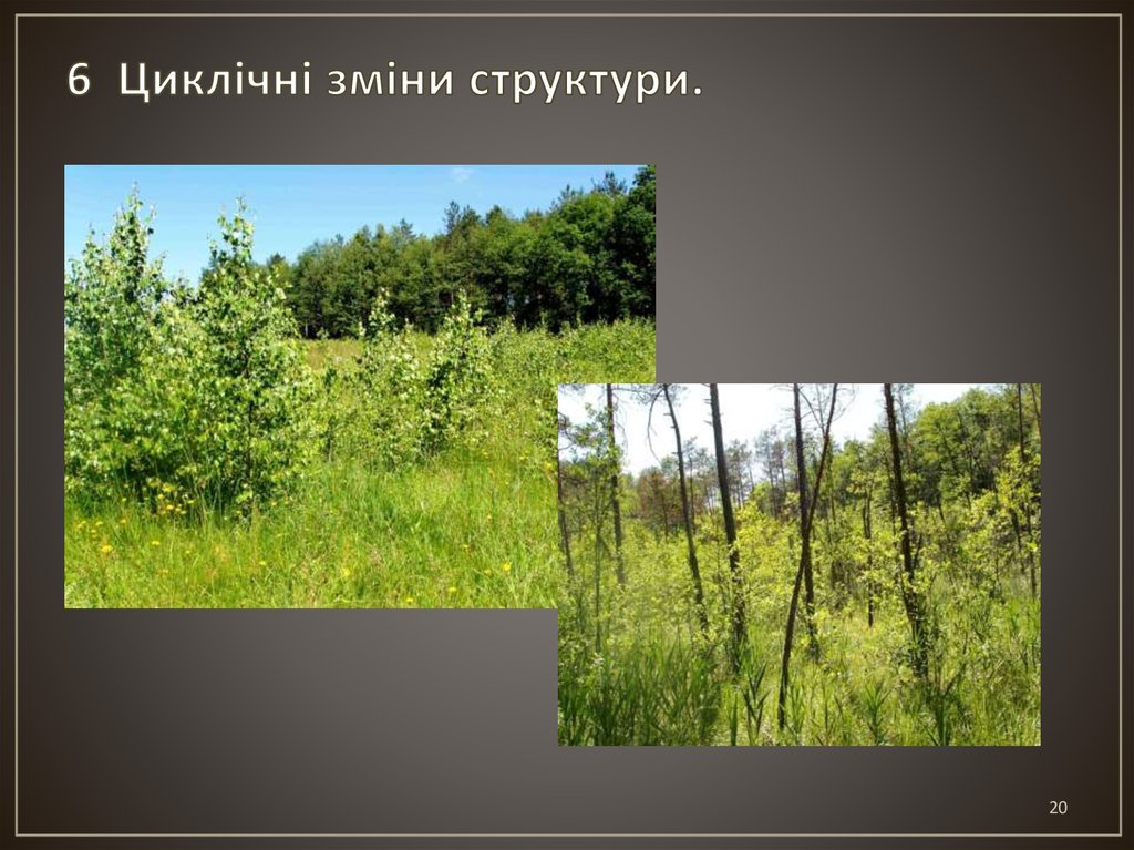 6 Циклічні зміни структури.