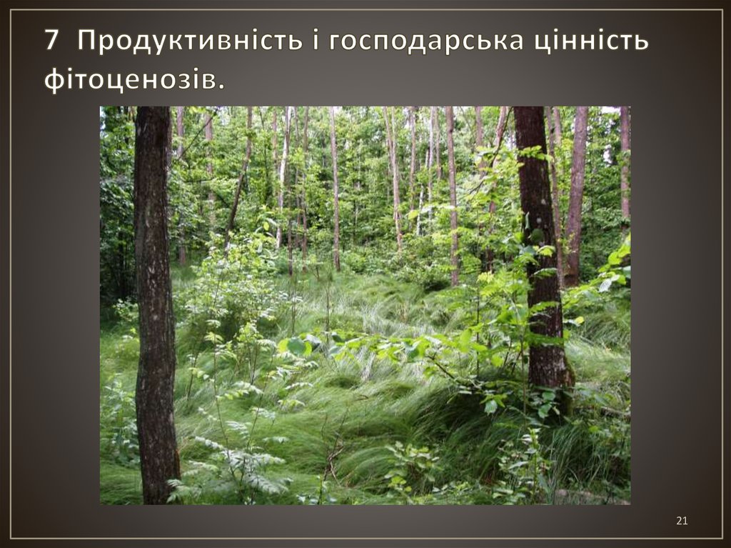 7 Продуктивність і господарська цінність фітоценозів.