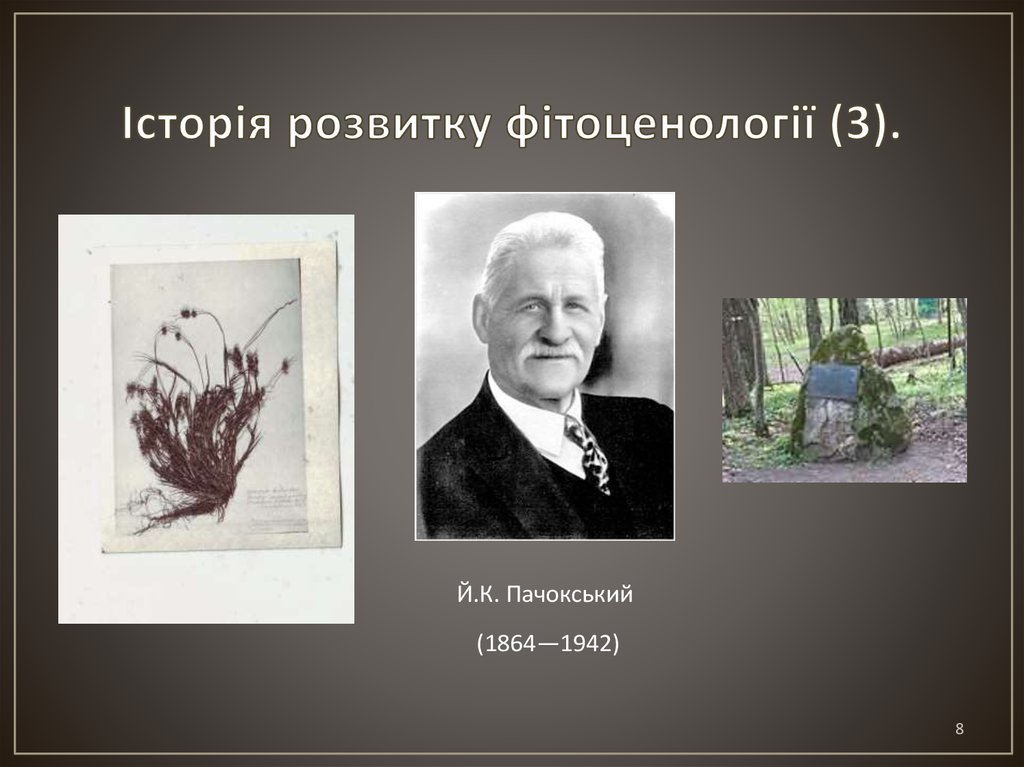 Історія розвитку фітоценології (3).