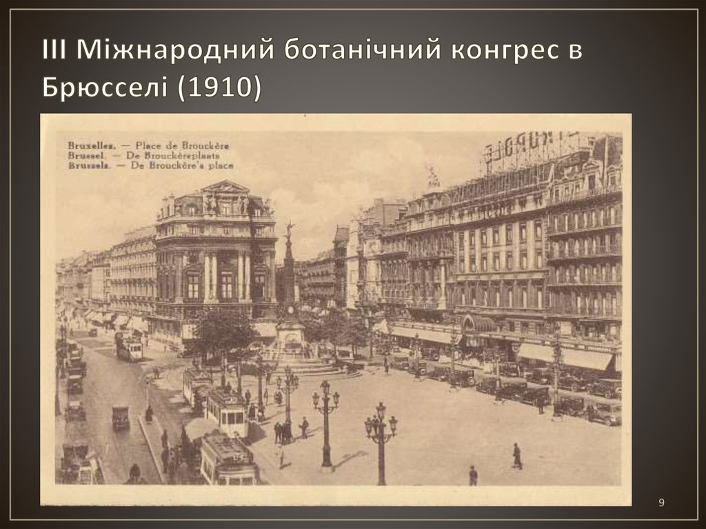 ІІІ Міжнародний ботанічний конгрес в Брюсселі (1910)