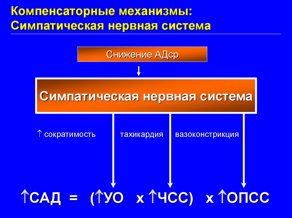 Компенсаторные механизмы. Компенсаторные механизмы примеры. Срочные компенсаторные механизмы. Компенсаторные механизмы это в физиологии.