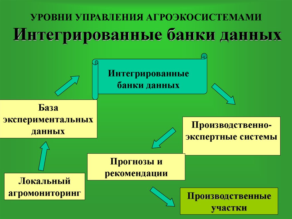 УРОВНИ УПРАВЛЕНИЯ АГРОЭКОСИСТЕМАМИ Интегрированные банки данных